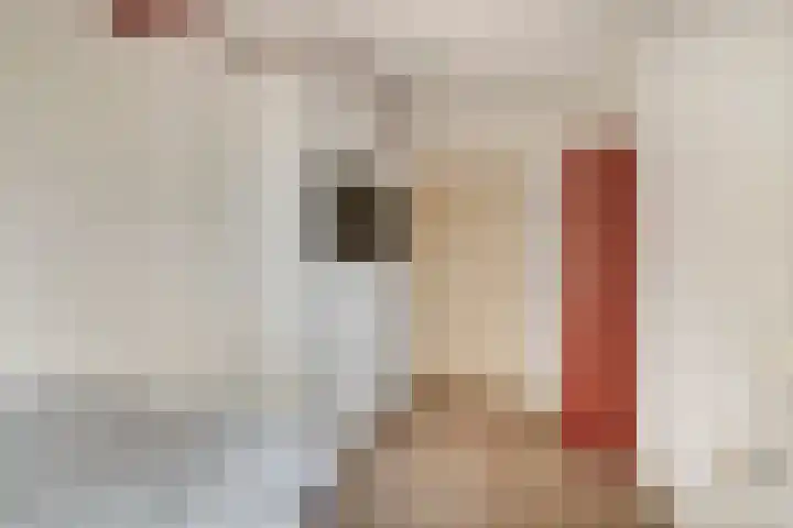 Schaardijkseweg 7 Zoelmond thumbnail 20