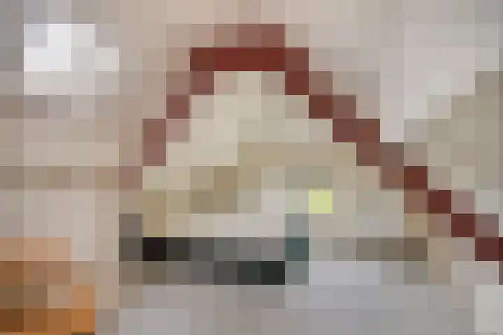 Schaardijkseweg 7 Zoelmond thumbnail 25