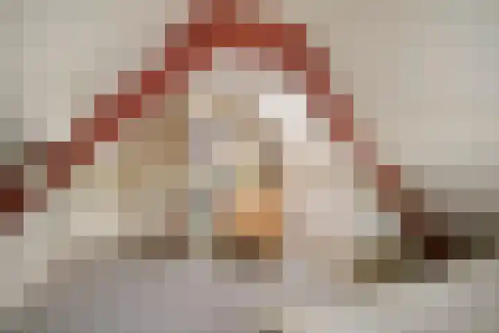 Schaardijkseweg 7 Zoelmond thumbnail 26