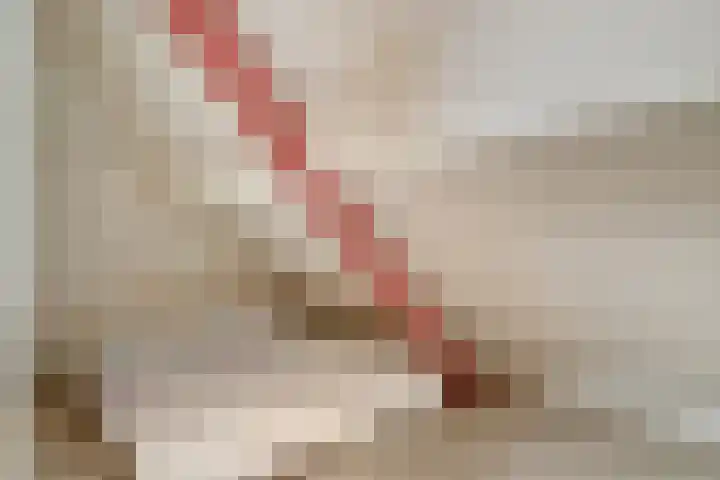 Schaardijkseweg 7 Zoelmond thumbnail 27