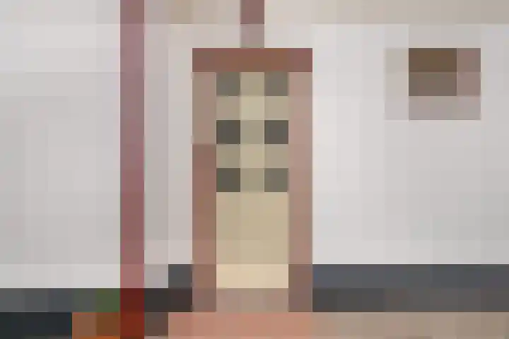 Schaardijkseweg 7 Zoelmond thumbnail 28