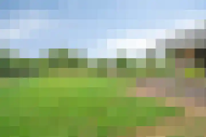 Schaardijkseweg 7 Zoelmond thumbnail 30