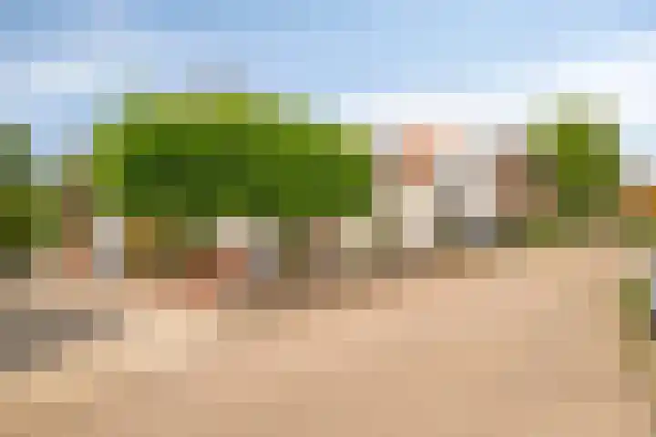 Schaardijkseweg 7 Zoelmond thumbnail 33