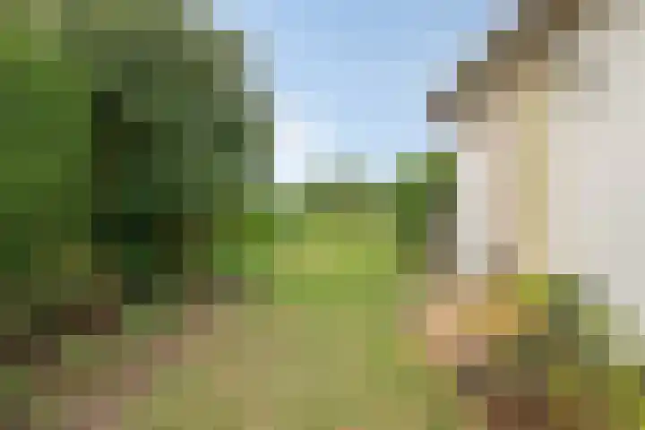 Schaardijkseweg 7 Zoelmond thumbnail 4