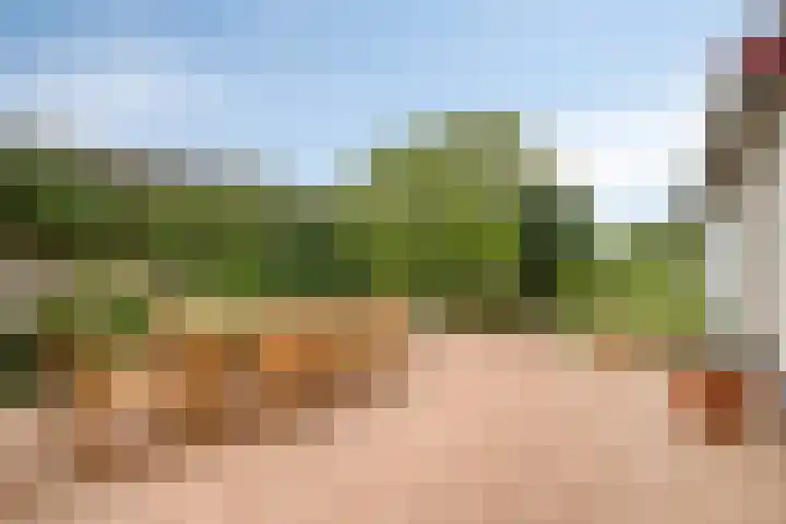 Schaardijkseweg 7 Zoelmond thumbnail 5