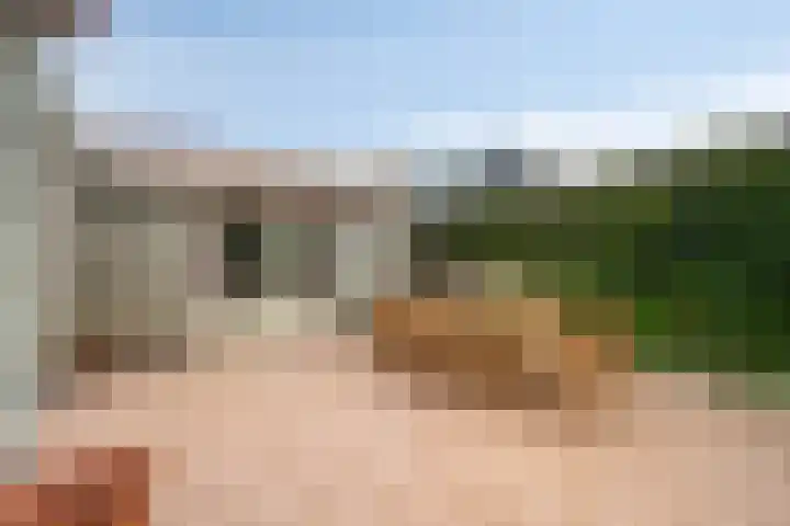 Schaardijkseweg 7 Zoelmond thumbnail 6
