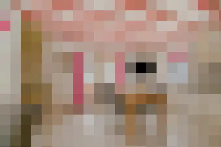 Schaardijkseweg 7 Zoelmond thumbnail 8