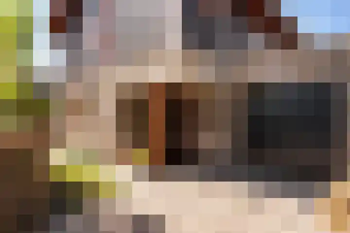 Schaardijkstraat 31 Zwolle thumbnail 4