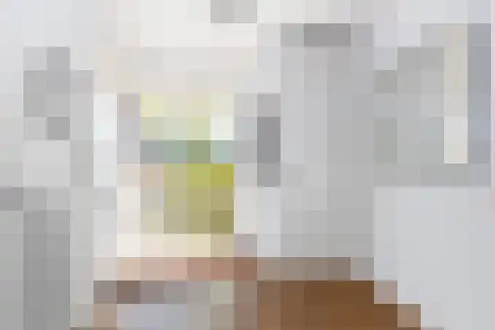 Schaardijkstraat 31 Zwolle thumbnail 5