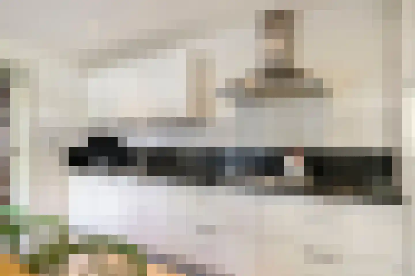 Schaarhuisstraat 4 's-Hertogenbosch thumbnail 10