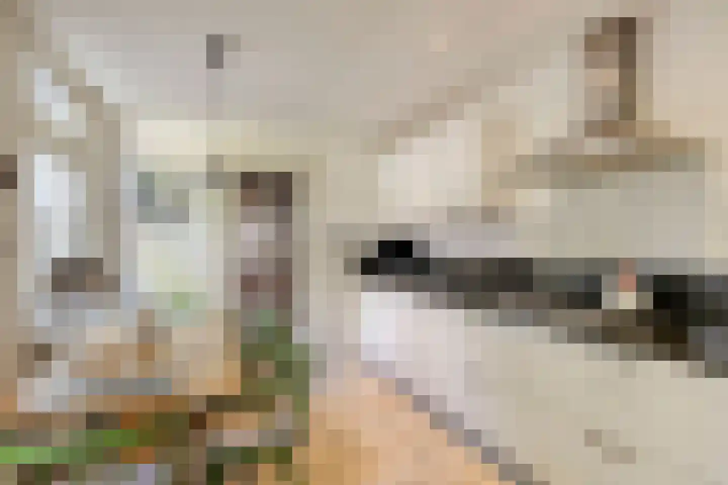 Schaarhuisstraat 4 's-Hertogenbosch thumbnail 11