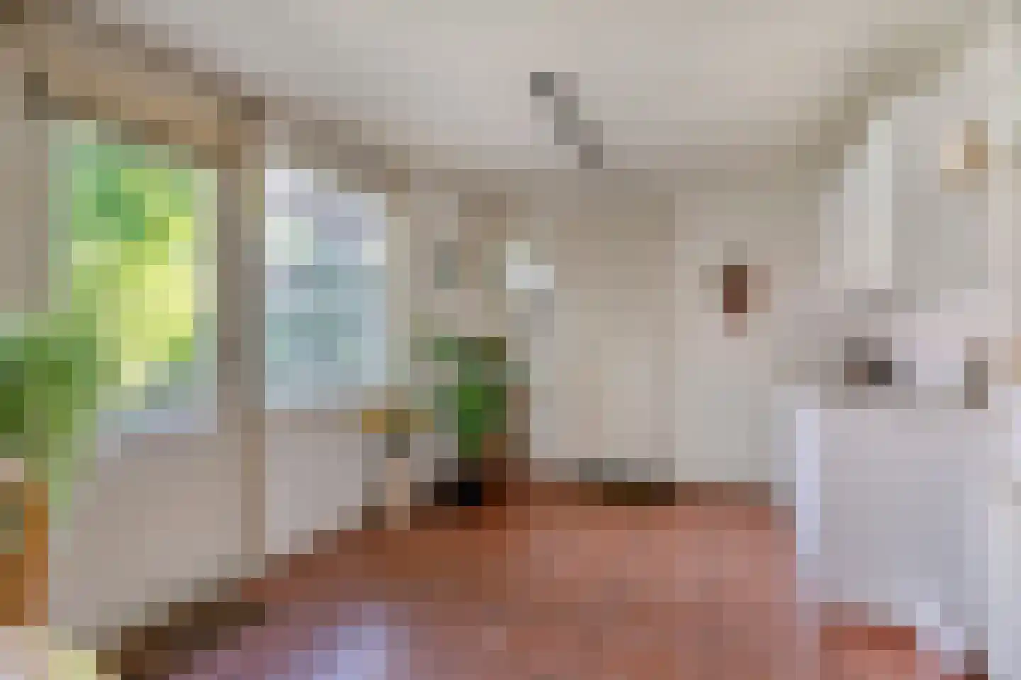 Schaarhuisstraat 4 's-Hertogenbosch thumbnail 15