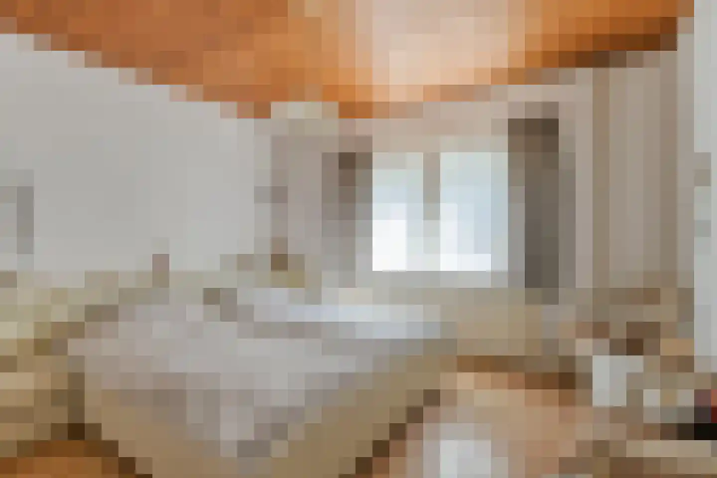 Schaarhuisstraat 4 's-Hertogenbosch thumbnail 18