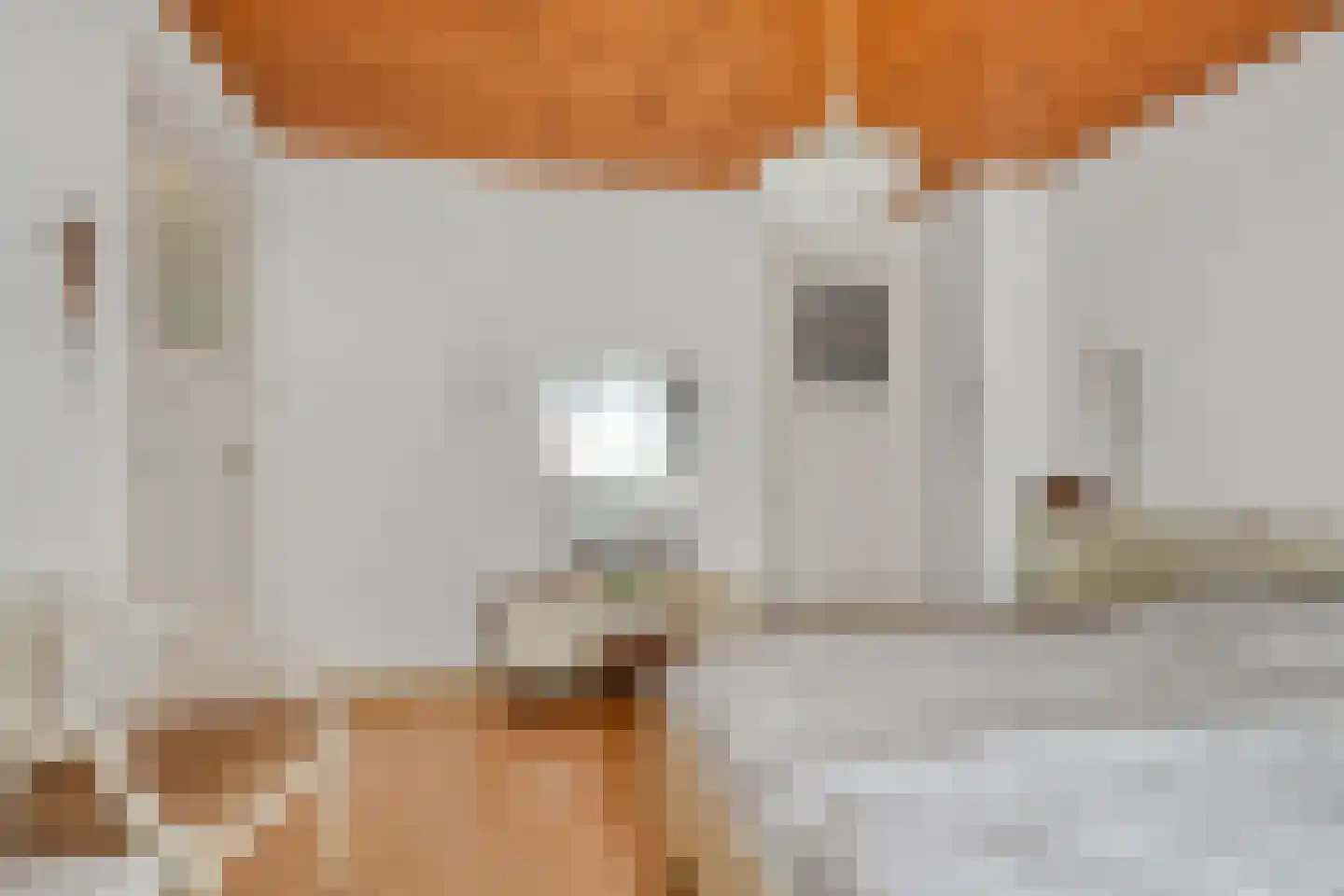 Schaarhuisstraat 4 's-Hertogenbosch thumbnail 19