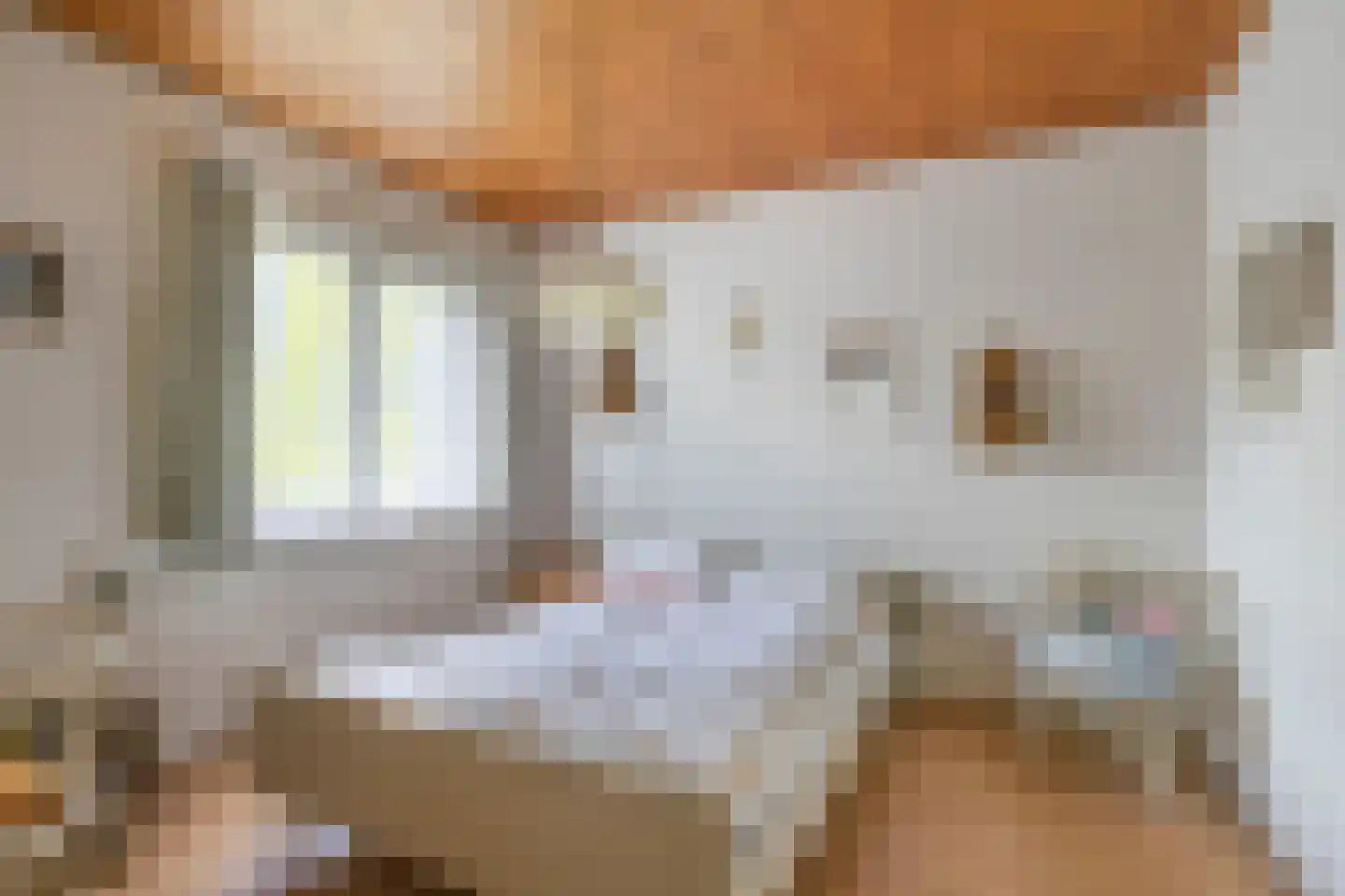 Schaarhuisstraat 4 's-Hertogenbosch thumbnail 21