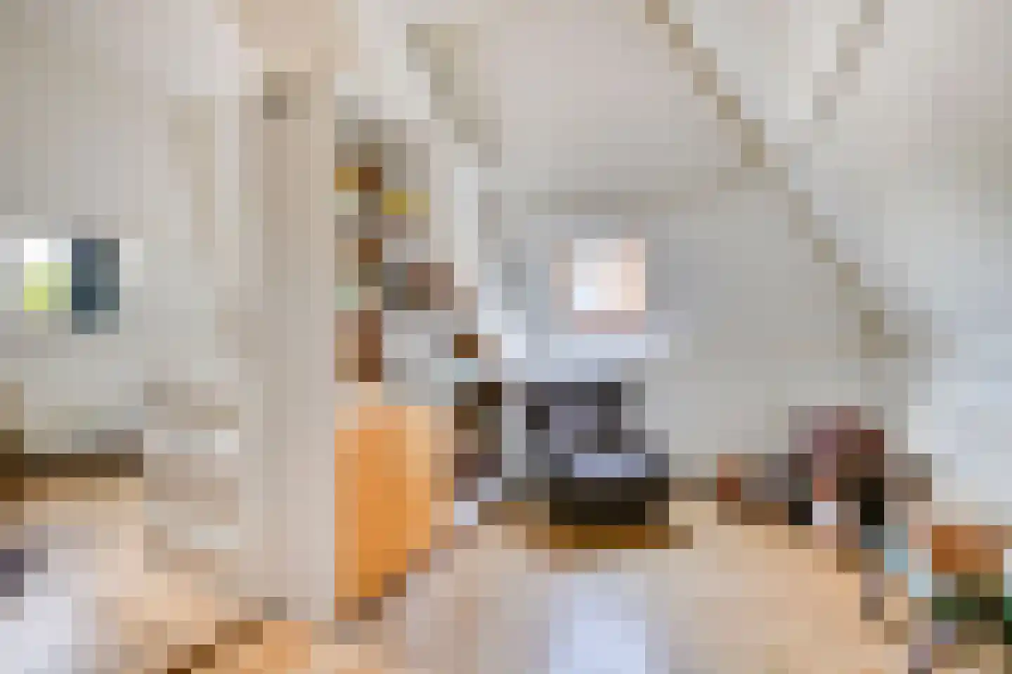 Schaarhuisstraat 4 's-Hertogenbosch thumbnail 28