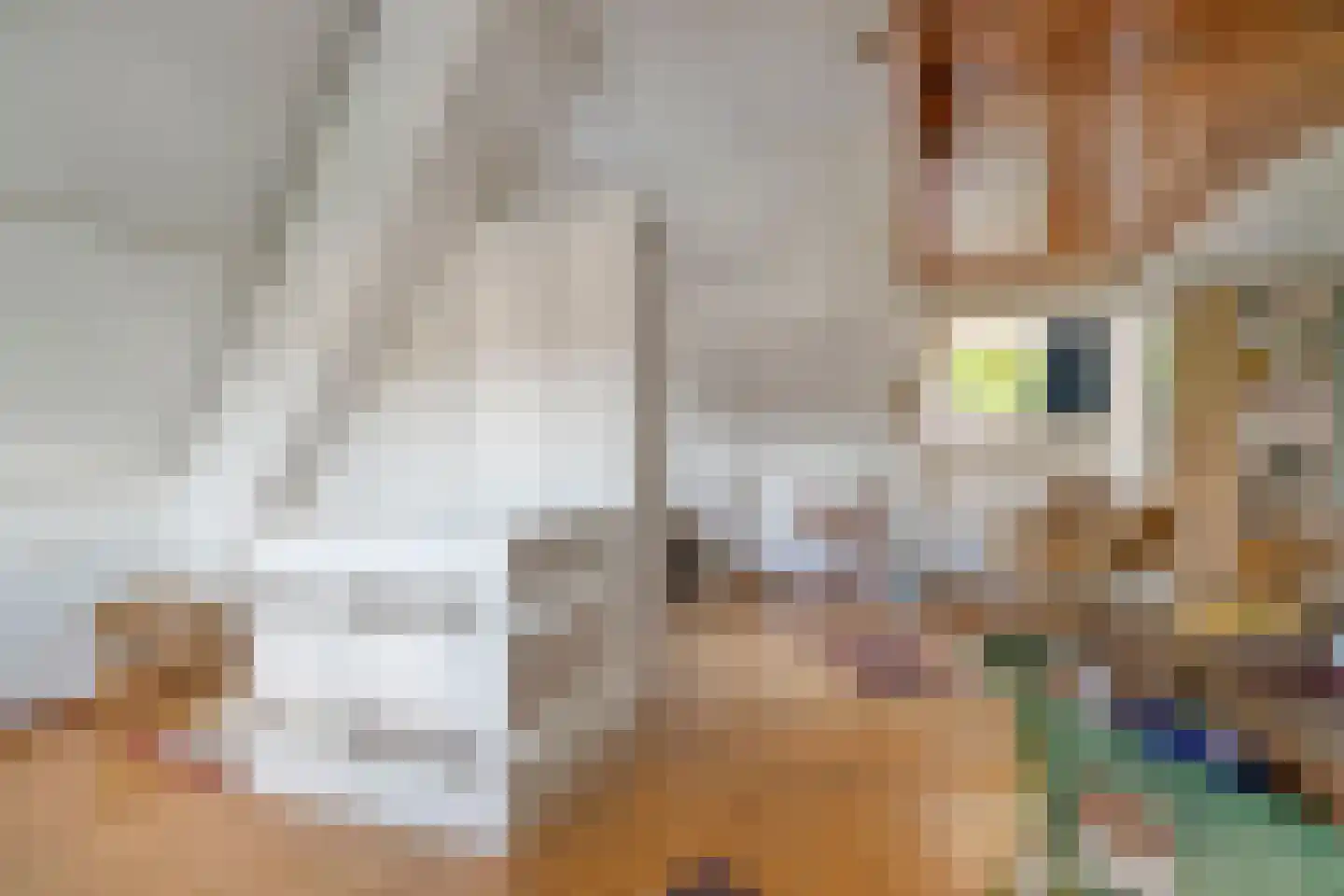 Schaarhuisstraat 4 's-Hertogenbosch thumbnail 30