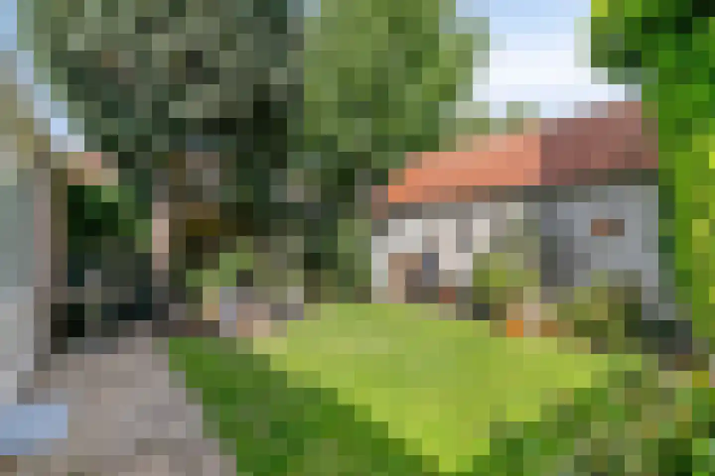 Schaarhuisstraat 4 's-Hertogenbosch thumbnail 31