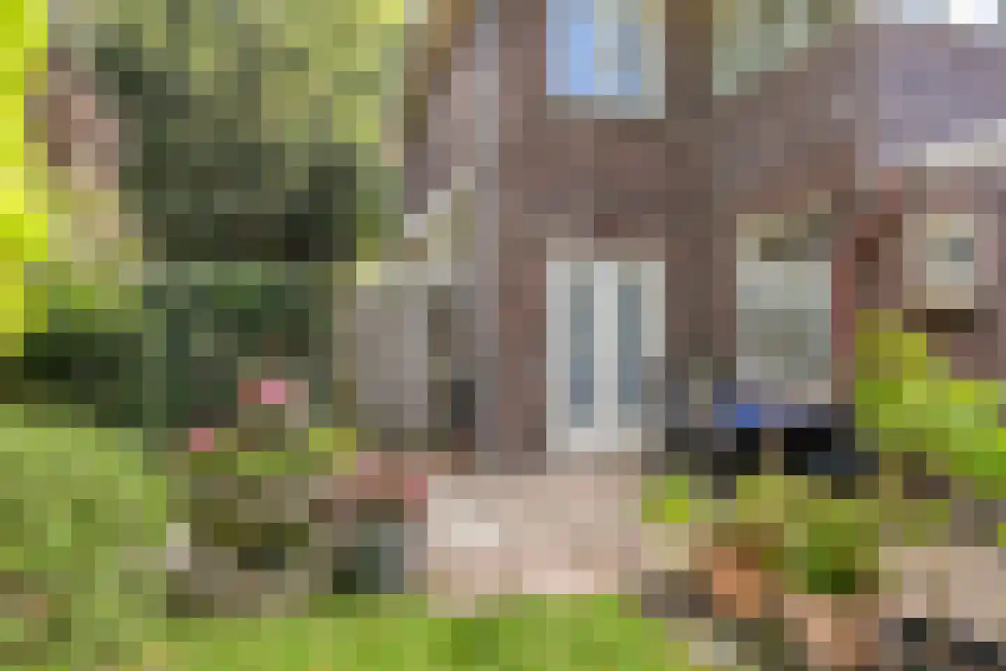 Schaarhuisstraat 4 's-Hertogenbosch thumbnail 32