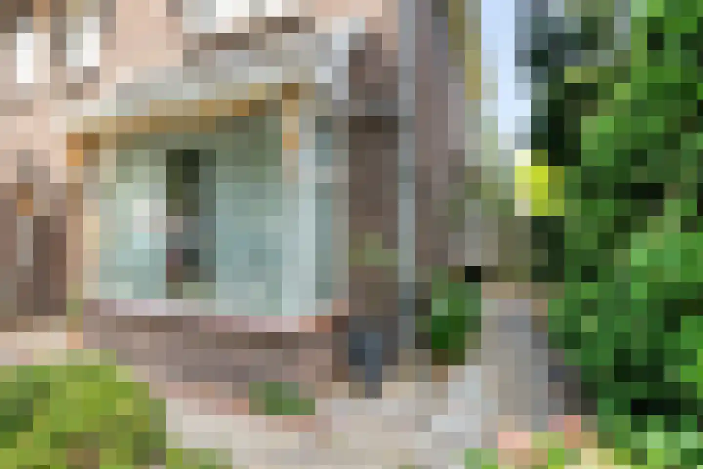 Schaarhuisstraat 4 's-Hertogenbosch thumbnail 35
