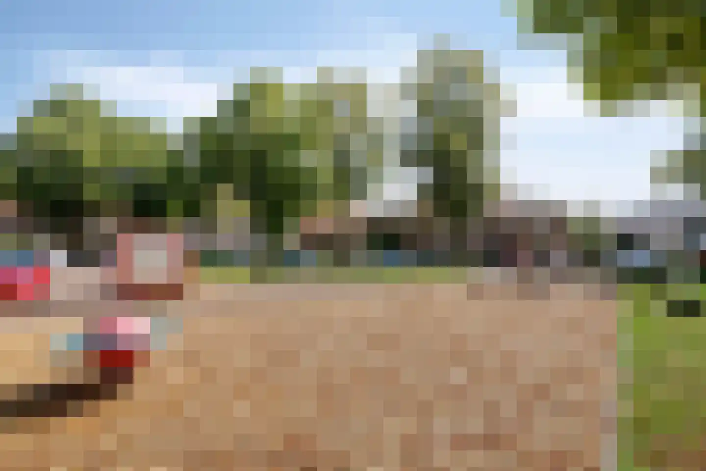 Schaarhuisstraat 4 's-Hertogenbosch thumbnail 37