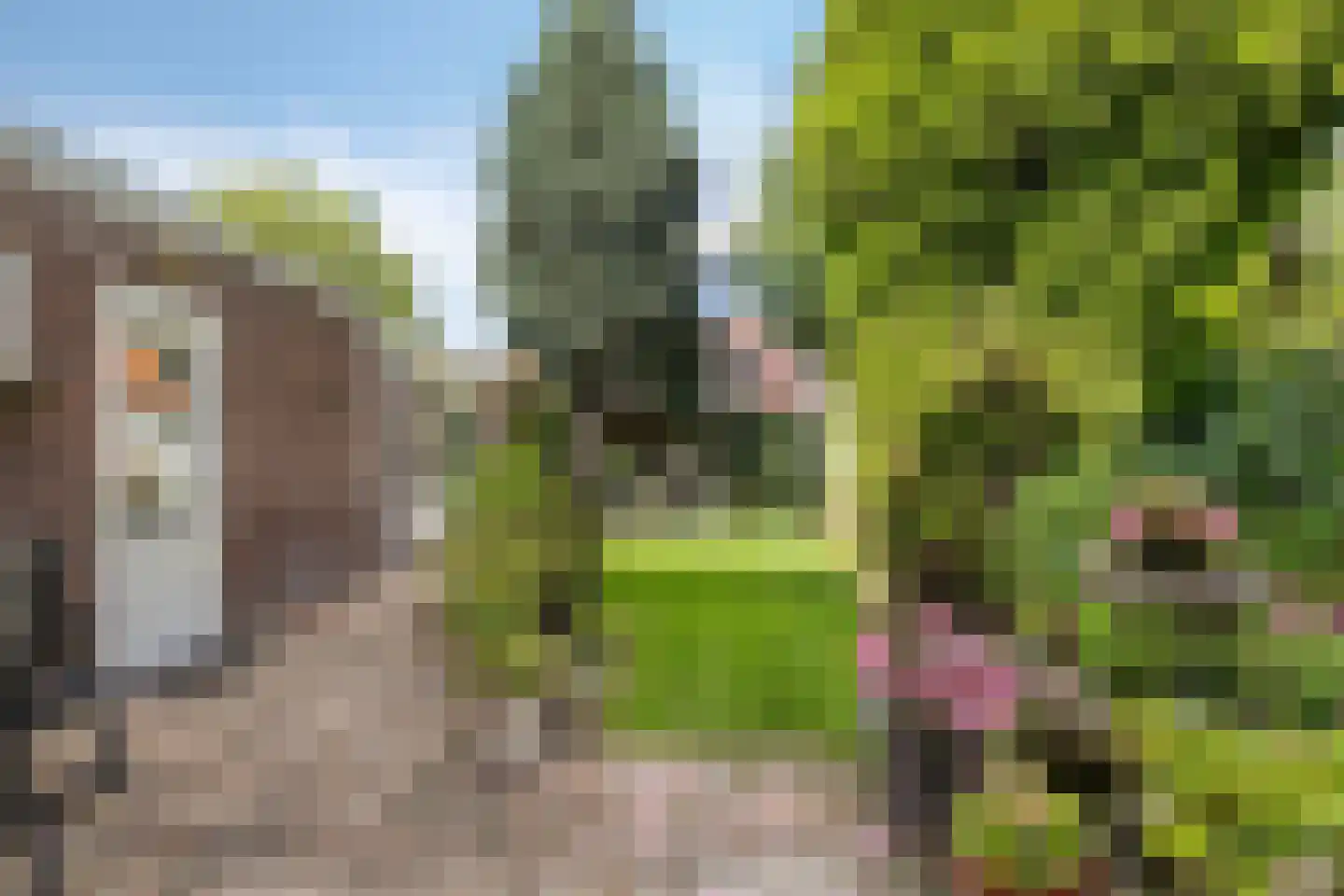 Schaarhuisstraat 4 's-Hertogenbosch thumbnail 4