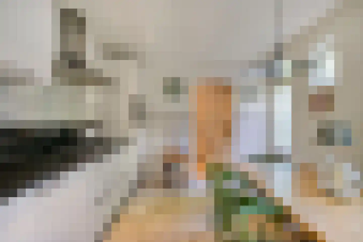 Schaarhuisstraat 4 's-Hertogenbosch thumbnail 5