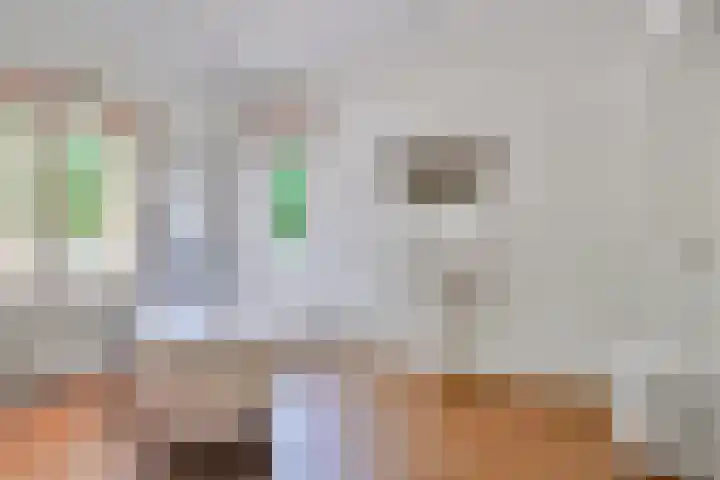 Schaarhuisstraat 6 's-Hertogenbosch thumbnail 34