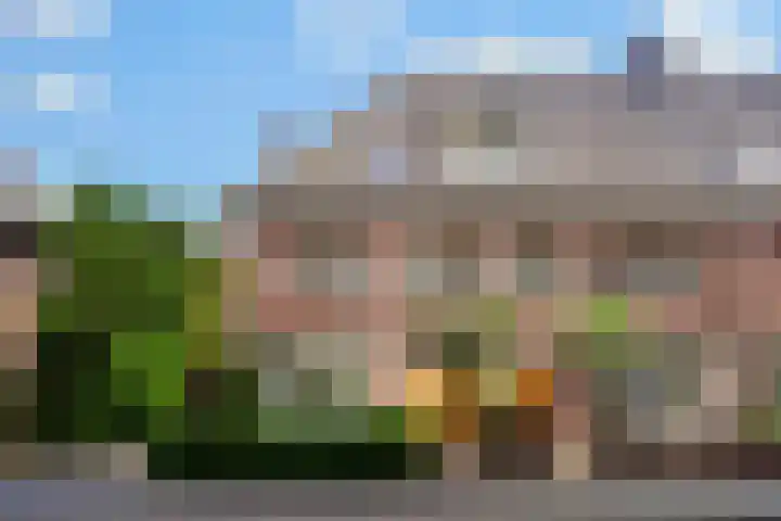 Schaarhuisstraat 6 's-Hertogenbosch thumbnail 44