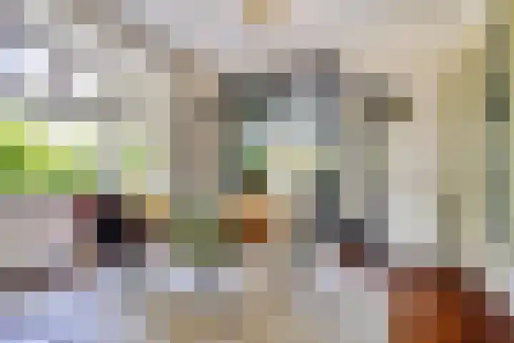 Schaarhuisstraat 6 's-Hertogenbosch thumbnail 7
