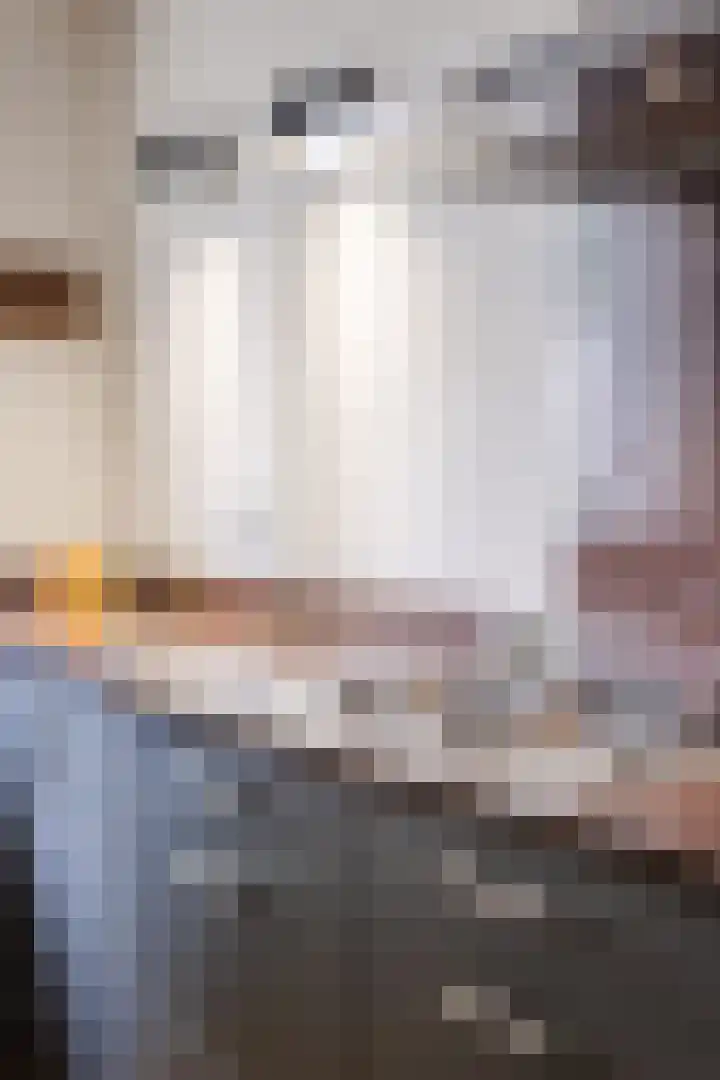Schaarland 10 Geldrop thumbnail 11