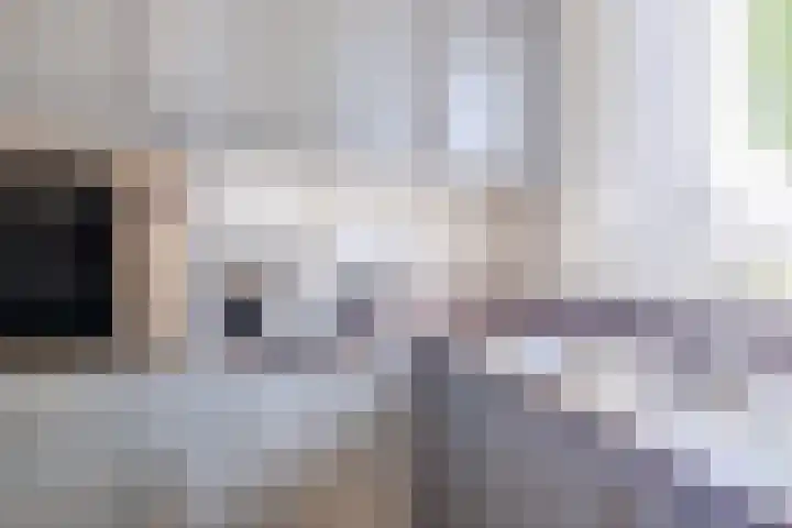 Schaarland 10 Geldrop thumbnail 12