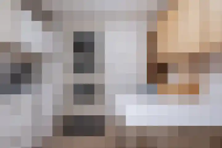 Schaarland 10 Geldrop thumbnail 19