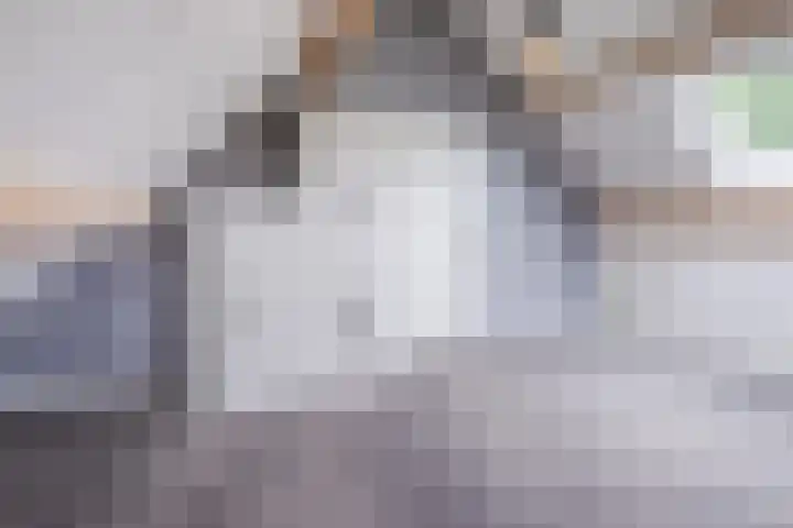 Schaarland 10 Geldrop thumbnail 35