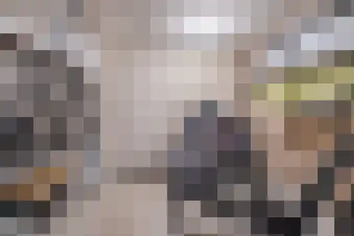 Schaarland 10 Geldrop thumbnail 37