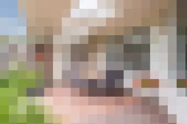 Schaarland 10 Geldrop thumbnail 38