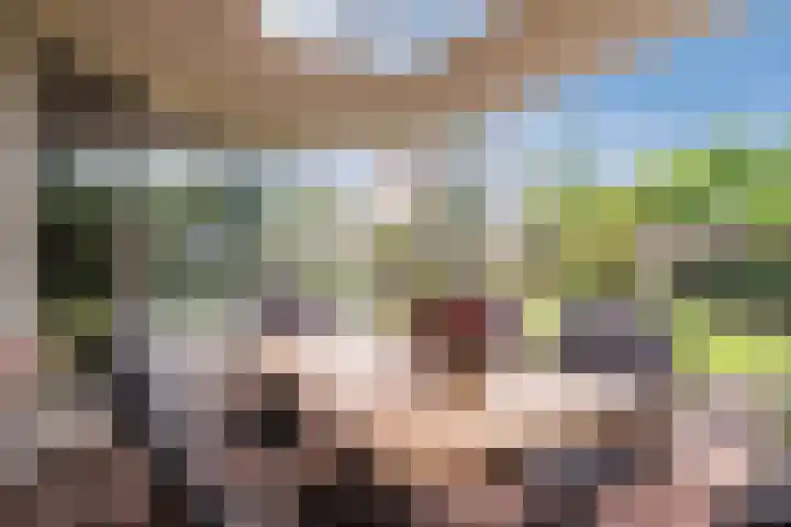 Schaarland 10 Geldrop thumbnail 39