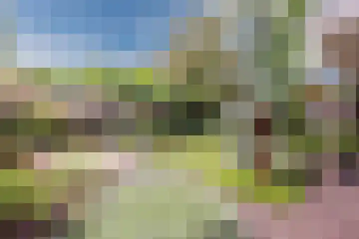 Schaarland 10 Geldrop thumbnail 41