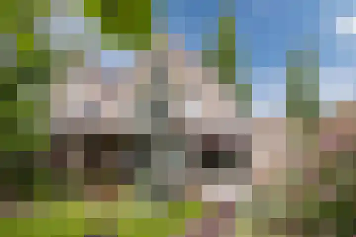 Schaarland 10 Geldrop thumbnail 42