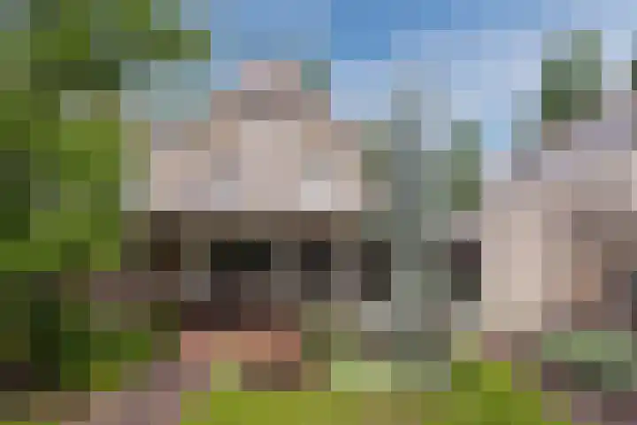 Schaarland 10 Geldrop thumbnail 43