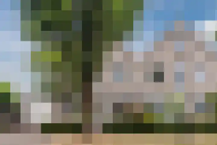 Schaarland 10 Geldrop thumbnail 44