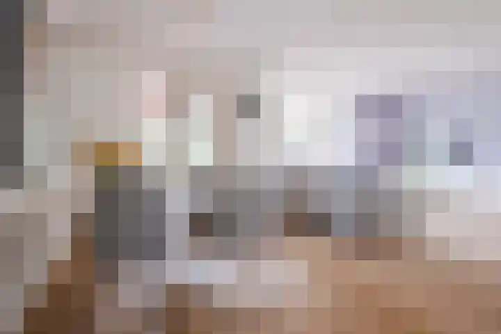 Schaarland 10 Geldrop thumbnail 9