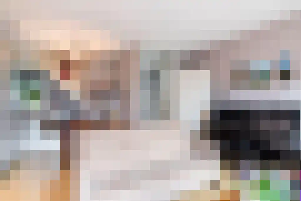 Schaarsbeekstraat 13 Utrecht thumbnail 5