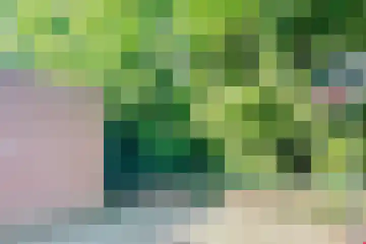 Schaarsbergendreef 1 Helmond thumbnail 30