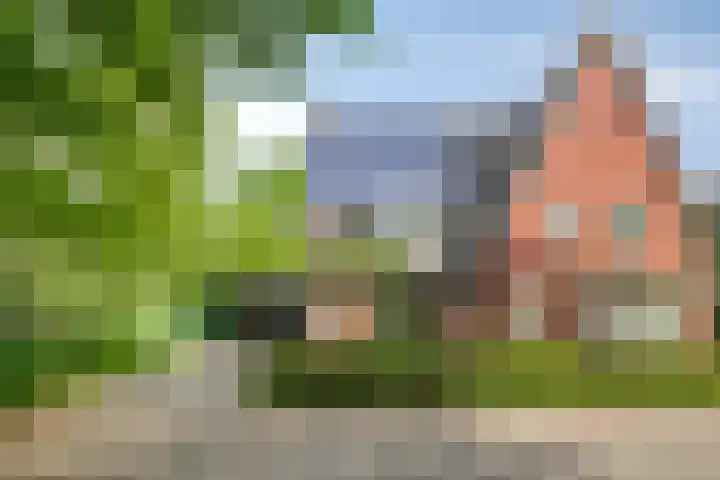 Schaarsbergendreef 1 Helmond thumbnail 54