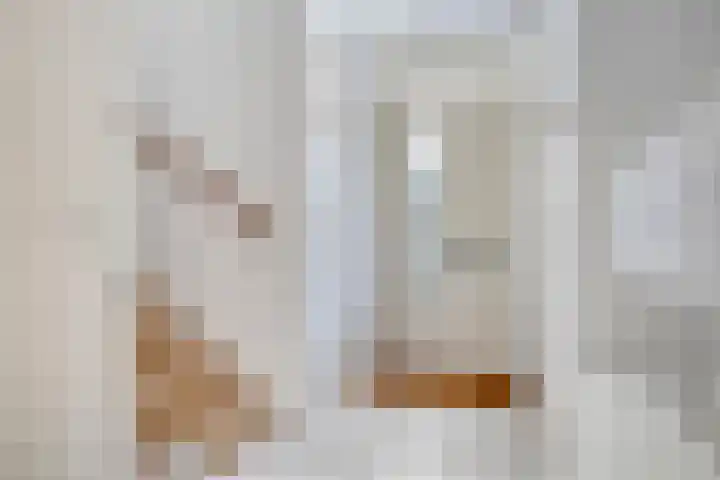 Schaarsbergendreef 3 Helmond thumbnail 12