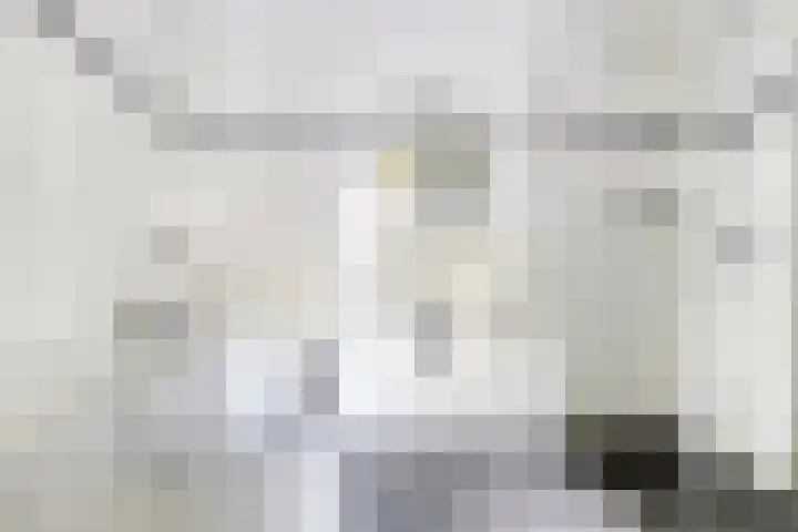 Schaarsbergendreef 3 Helmond thumbnail 24