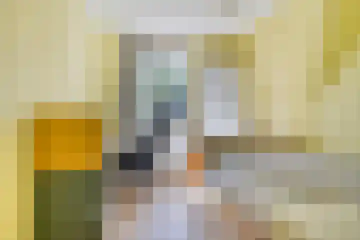 Schaarsbergendreef 3 Helmond thumbnail 31