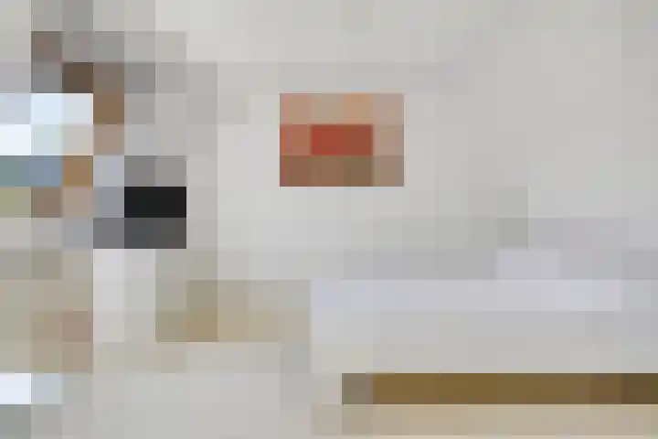Schaarsbergendreef 3 Helmond thumbnail 37