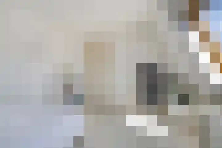 Schaarsbergendreef 3 Helmond thumbnail 38